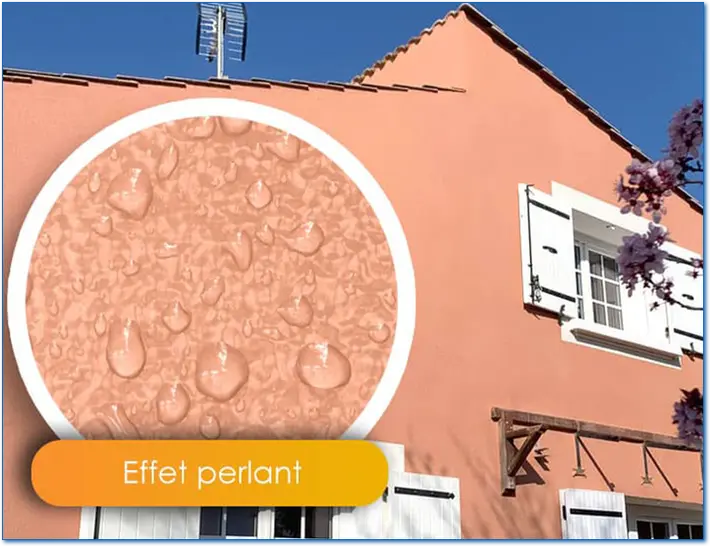 Hydrofuge Façade Protection Romorantin-Lanthenay Loir-et-Cher 41